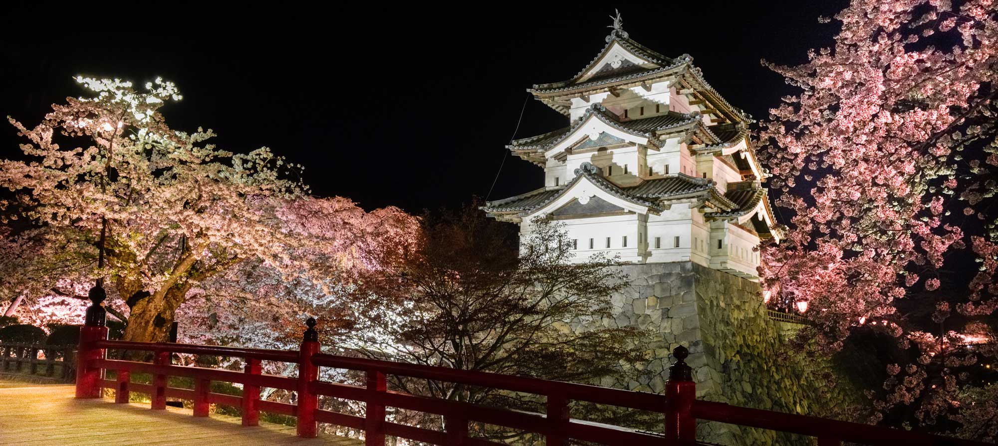 Вечерний вид высвечиваемой иллюминацией башни замка Хиросаки-дзё в городе Хиросаки, префектура Аомори, на фоне цветущей сакуры