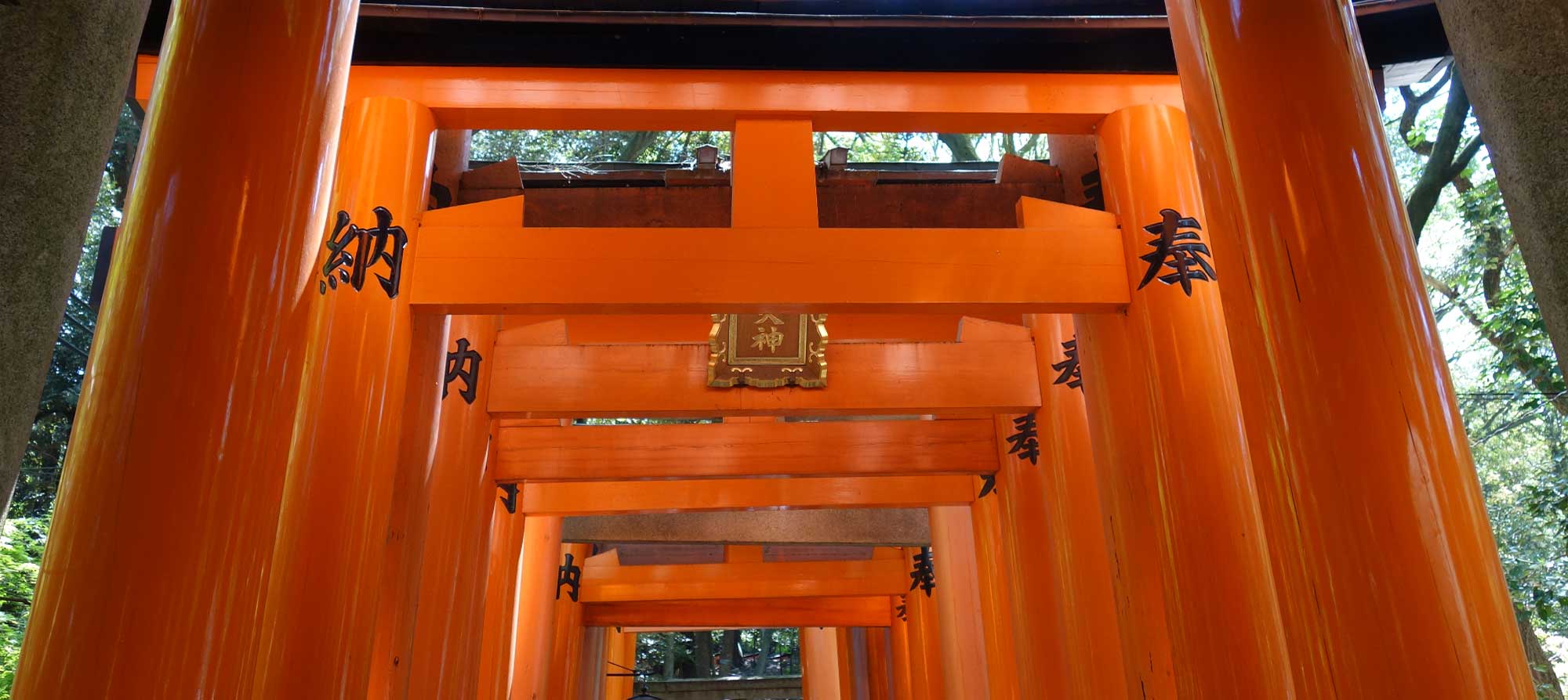 Галерея красных ворот тории в синтоистском храме Фусими-Инари-тайся в Киото