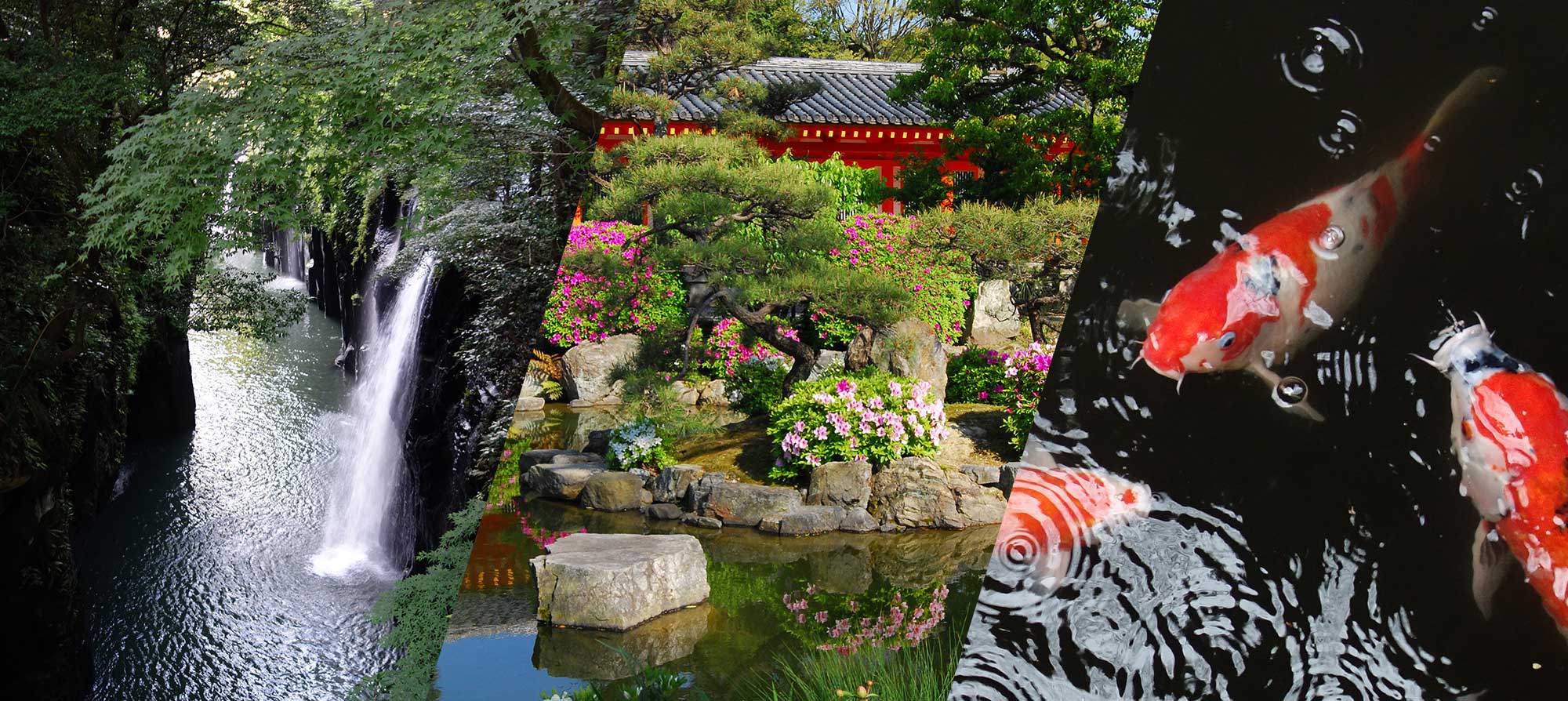 Коллаж из фотографий: живописное ущелье Такатихо, территория синтоистского храма в цветах, декоративный карп